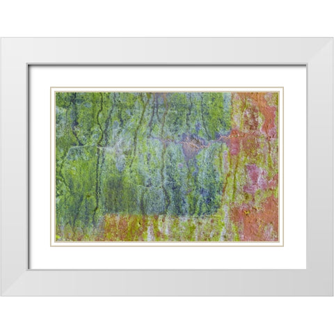 Washington, Fort Hayden Abstract painted wall White Modern Wood Framed Art Print with Double Matting by Paulson, Don