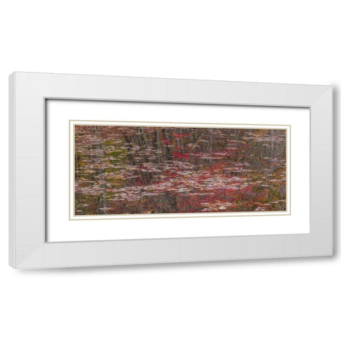 TN Fall reflections in Fall Creek Lake White Modern Wood Framed Art Print with Double Matting by Paulson, Don