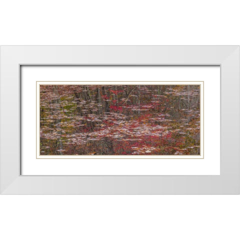 TN Fall reflections in Fall Creek Lake White Modern Wood Framed Art Print with Double Matting by Paulson, Don