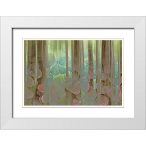 Washington, Seabeck Collage of oxalis and trees White Modern Wood Framed Art Print with Double Matting by Paulson, Don