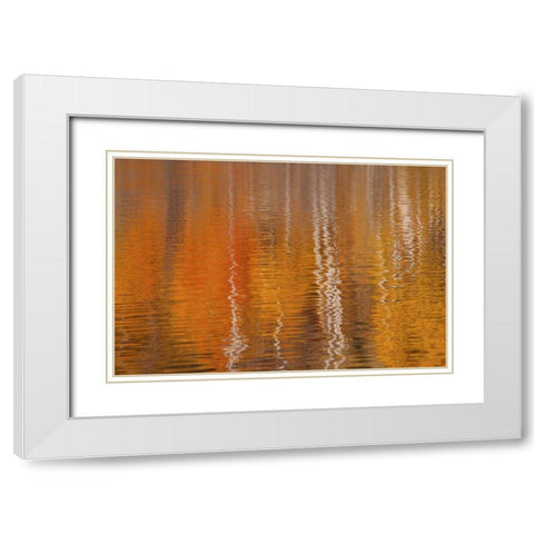 WA, Winthrop Autumn reflections on Beaver Pond White Modern Wood Framed Art Print with Double Matting by Paulson, Don