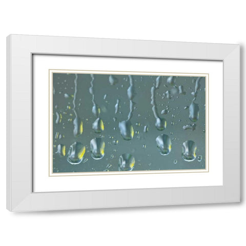 Washington State, Seabeck Raindrops on a window White Modern Wood Framed Art Print with Double Matting by Paulson, Don