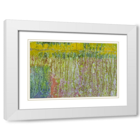 Washington, Fort Hayden Abstract painted wall White Modern Wood Framed Art Print with Double Matting by Paulson, Don
