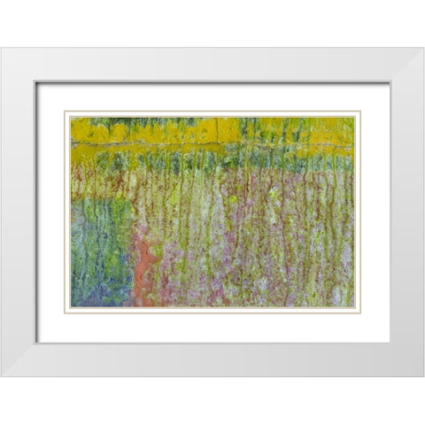 Washington, Fort Hayden Abstract painted wall White Modern Wood Framed Art Print with Double Matting by Paulson, Don