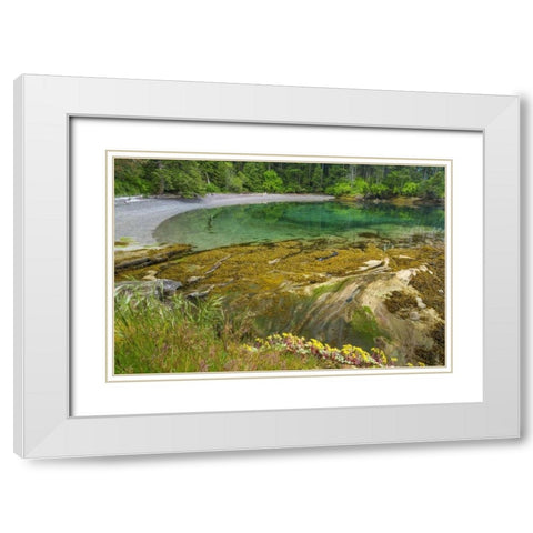 Washington Secluded bay on Sucia Island White Modern Wood Framed Art Print with Double Matting by Paulson, Don