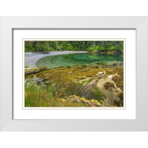 Washington Secluded bay on Sucia Island White Modern Wood Framed Art Print with Double Matting by Paulson, Don