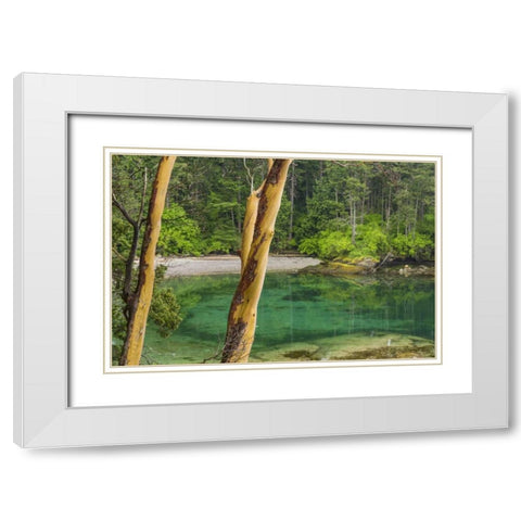 Washington Secluded bay on Sucia Island White Modern Wood Framed Art Print with Double Matting by Paulson, Don