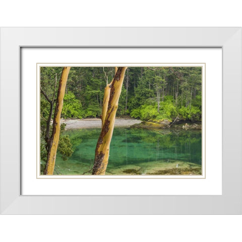 Washington Secluded bay on Sucia Island White Modern Wood Framed Art Print with Double Matting by Paulson, Don