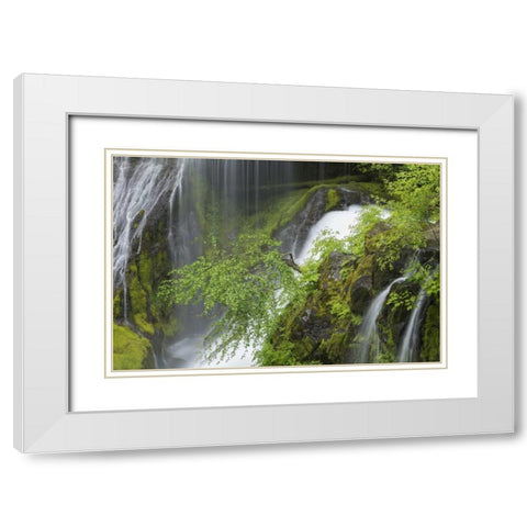 Washington Spring Panther Creek Waterfall White Modern Wood Framed Art Print with Double Matting by Paulson, Don