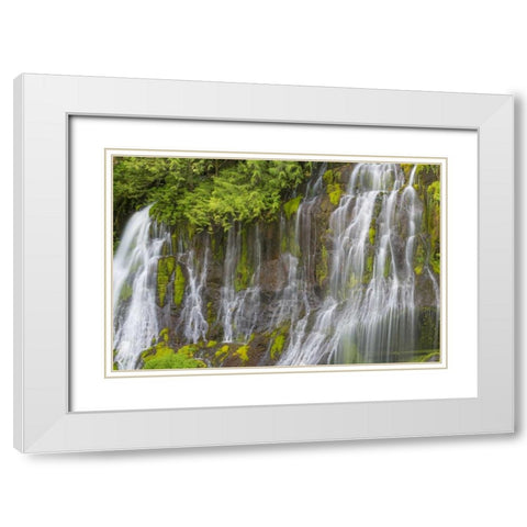 Washington Spring Panther Creek Waterfall White Modern Wood Framed Art Print with Double Matting by Paulson, Don