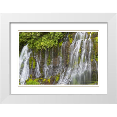 Washington Spring Panther Creek Waterfall White Modern Wood Framed Art Print with Double Matting by Paulson, Don