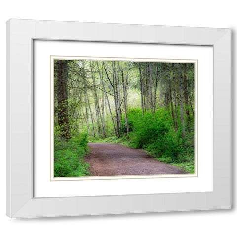 USA-Washington State-Pacific Northwest Sammamish trail along Yellow Lake White Modern Wood Framed Art Print with Double Matting by Gulin, Sylvia