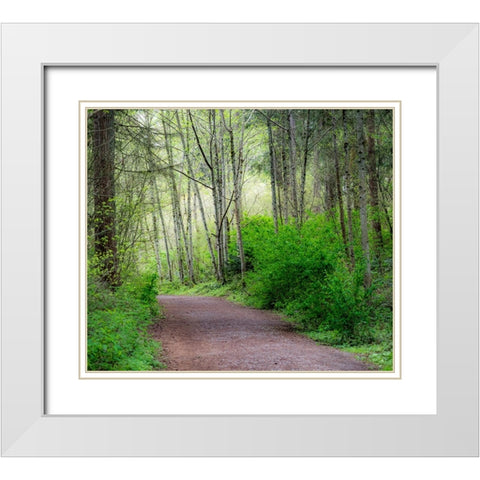 USA-Washington State-Pacific Northwest Sammamish trail along Yellow Lake White Modern Wood Framed Art Print with Double Matting by Gulin, Sylvia