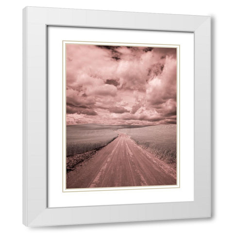 USA-Washington State-Palouse-Country backroad through spring crops White Modern Wood Framed Art Print with Double Matting by Eggers, Terry