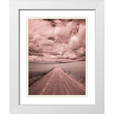 USA-Washington State-Palouse-Country backroad through spring crops White Modern Wood Framed Art Print with Double Matting by Eggers, Terry