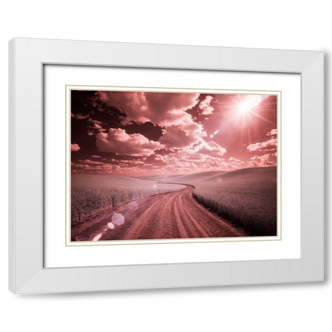 USA-Washington State-Palouse-Country backroad through spring crops White Modern Wood Framed Art Print with Double Matting by Eggers, Terry