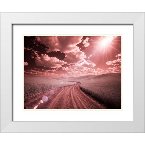 USA-Washington State-Palouse-Country backroad through spring crops White Modern Wood Framed Art Print with Double Matting by Eggers, Terry
