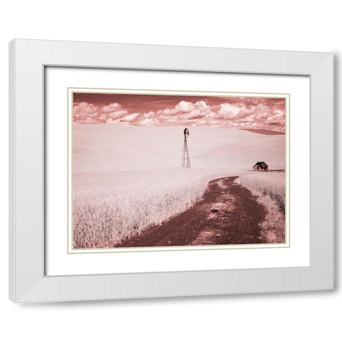 USA-Washington State-Palouse-Backroad through wheat field White Modern Wood Framed Art Print with Double Matting by Eggers, Terry