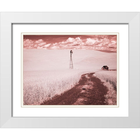 USA-Washington State-Palouse-Backroad through wheat field White Modern Wood Framed Art Print with Double Matting by Eggers, Terry