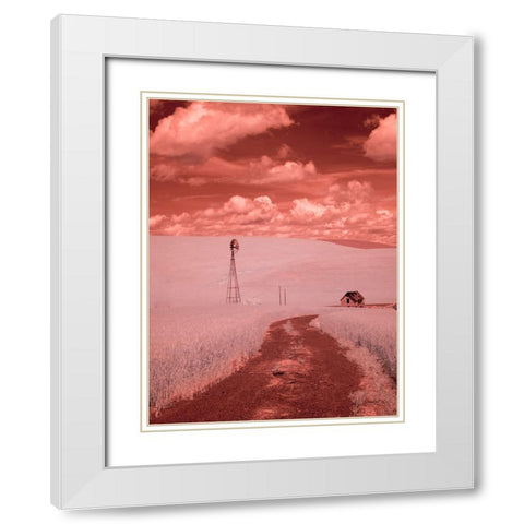 USA-Washington State-Palouse-Backroad through wheat field White Modern Wood Framed Art Print with Double Matting by Eggers, Terry