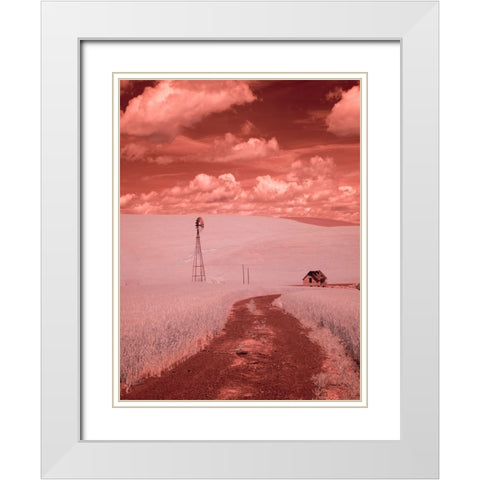 USA-Washington State-Palouse-Backroad through wheat field White Modern Wood Framed Art Print with Double Matting by Eggers, Terry