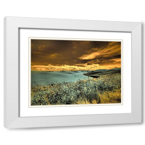 USA-Washington State-Palouse-Spring Poppies and Backcountry road through wheat field and clouds White Modern Wood Framed Art Print with Double Matting by Eggers, Terry