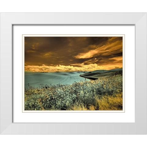 USA-Washington State-Palouse-Spring Poppies and Backcountry road through wheat field and clouds White Modern Wood Framed Art Print with Double Matting by Eggers, Terry