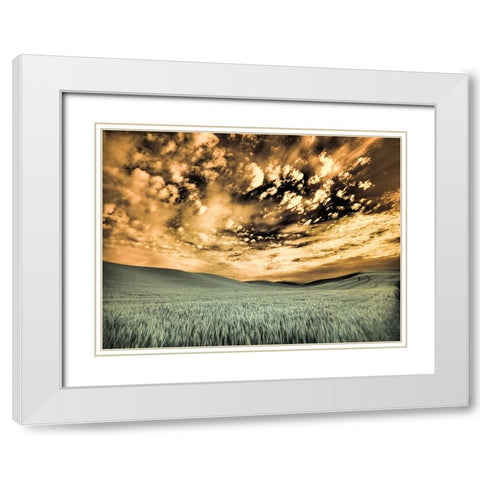 USA-Washington State-Palouse-wheat field and clouds White Modern Wood Framed Art Print with Double Matting by Eggers, Terry