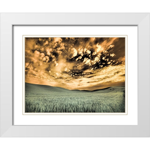 USA-Washington State-Palouse-wheat field and clouds White Modern Wood Framed Art Print with Double Matting by Eggers, Terry