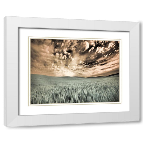 USA-Washington State-Palouse-wheat field and clouds White Modern Wood Framed Art Print with Double Matting by Eggers, Terry
