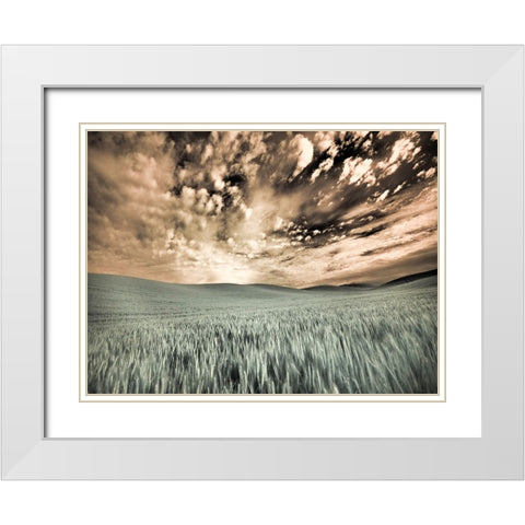 USA-Washington State-Palouse-wheat field and clouds White Modern Wood Framed Art Print with Double Matting by Eggers, Terry