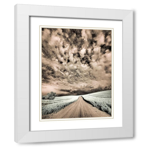 USA-Washington State-Palouse-Backcountry road through wheat field and clouds White Modern Wood Framed Art Print with Double Matting by Eggers, Terry