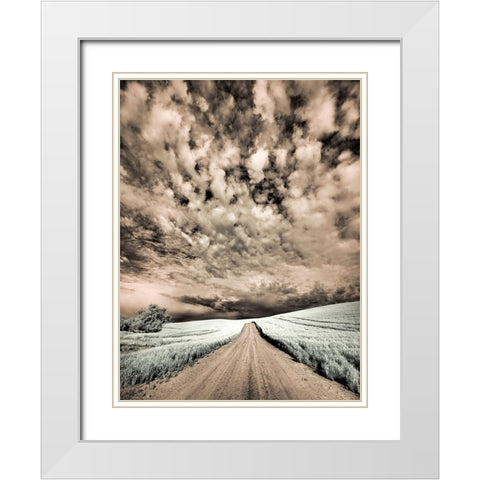 USA-Washington State-Palouse-Backcountry road through wheat field and clouds White Modern Wood Framed Art Print with Double Matting by Eggers, Terry