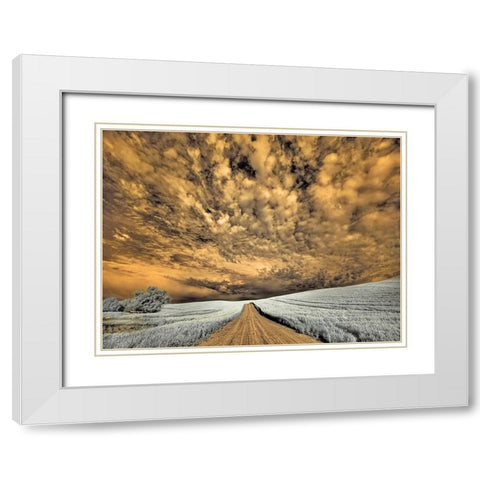 USA-Washington State-Palouse-Backcountry road through wheat field and clouds White Modern Wood Framed Art Print with Double Matting by Eggers, Terry
