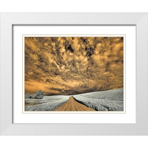 USA-Washington State-Palouse-Backcountry road through wheat field and clouds White Modern Wood Framed Art Print with Double Matting by Eggers, Terry