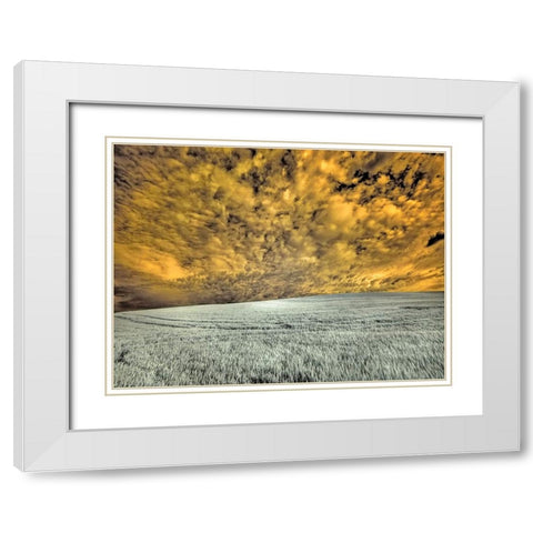 USA-Washington State-Palouse-wheat field and clouds White Modern Wood Framed Art Print with Double Matting by Eggers, Terry