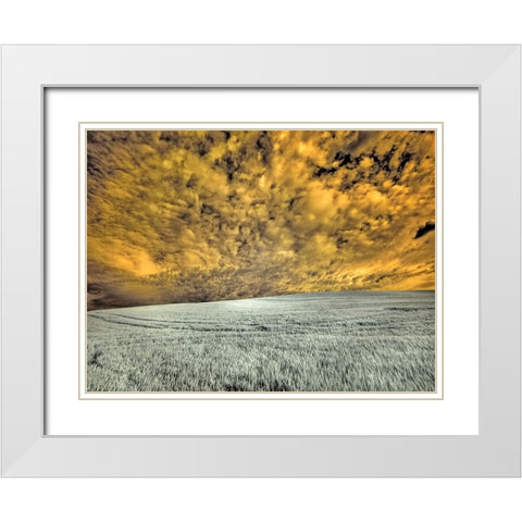 USA-Washington State-Palouse-wheat field and clouds White Modern Wood Framed Art Print with Double Matting by Eggers, Terry