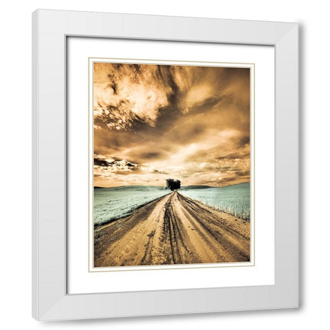 USA-Washington State-Palouse-Backcountry road through wheat field with lone tree and clouds White Modern Wood Framed Art Print with Double Matting by Eggers, Terry