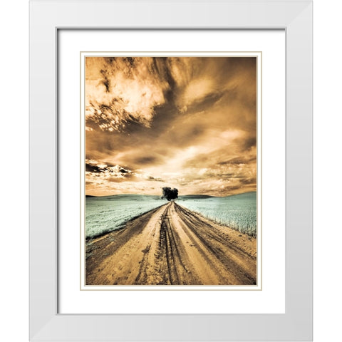 USA-Washington State-Palouse-Backcountry road through wheat field with lone tree and clouds White Modern Wood Framed Art Print with Double Matting by Eggers, Terry