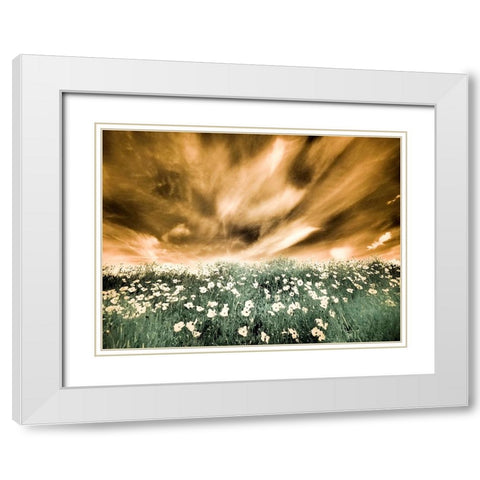 USA-Washington State-Palouse-Spring Poppies and Backcountry road through wheat field and clouds White Modern Wood Framed Art Print with Double Matting by Eggers, Terry