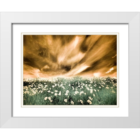 USA-Washington State-Palouse-Spring Poppies and Backcountry road through wheat field and clouds White Modern Wood Framed Art Print with Double Matting by Eggers, Terry