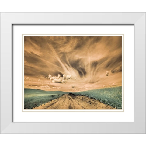 USA-Washington State-Palouse-Backcountry road through canola field and clouds White Modern Wood Framed Art Print with Double Matting by Eggers, Terry