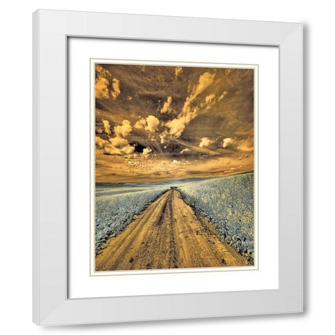USA-Washington State-Palouse-Backcountry road through canola field and clouds White Modern Wood Framed Art Print with Double Matting by Eggers, Terry