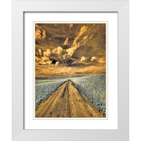 USA-Washington State-Palouse-Backcountry road through canola field and clouds White Modern Wood Framed Art Print with Double Matting by Eggers, Terry