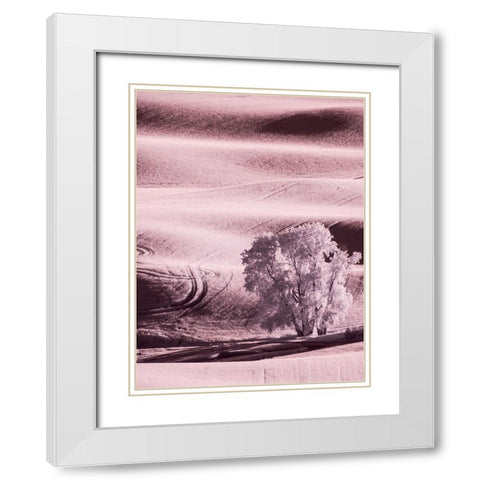USA-Washington State-Palouse region-Lone tree in Field White Modern Wood Framed Art Print with Double Matting by Eggers, Terry