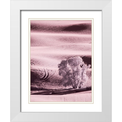 USA-Washington State-Palouse region-Lone tree in Field White Modern Wood Framed Art Print with Double Matting by Eggers, Terry
