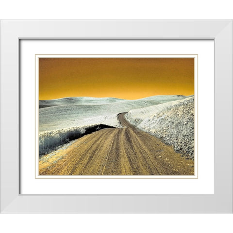USA-Washington State-Palouse region-Country backroad through wheat fields White Modern Wood Framed Art Print with Double Matting by Eggers, Terry
