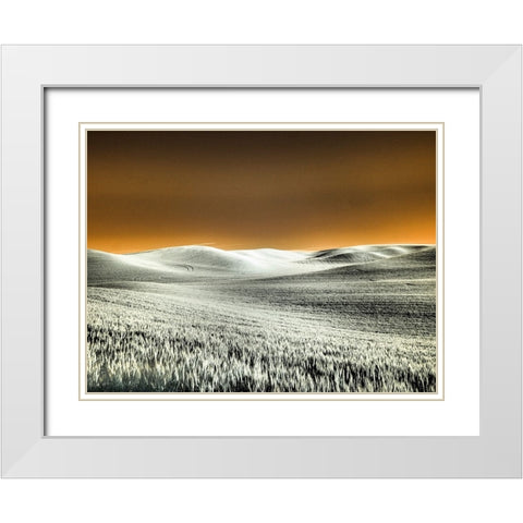 USA-Washington State-Palouse region-Rolling Hills of wheat White Modern Wood Framed Art Print with Double Matting by Eggers, Terry