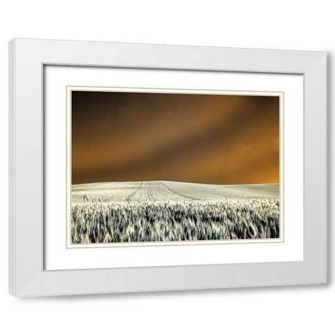 USA-Washington State-Palouse region-Rolling Hills of wheat White Modern Wood Framed Art Print with Double Matting by Eggers, Terry