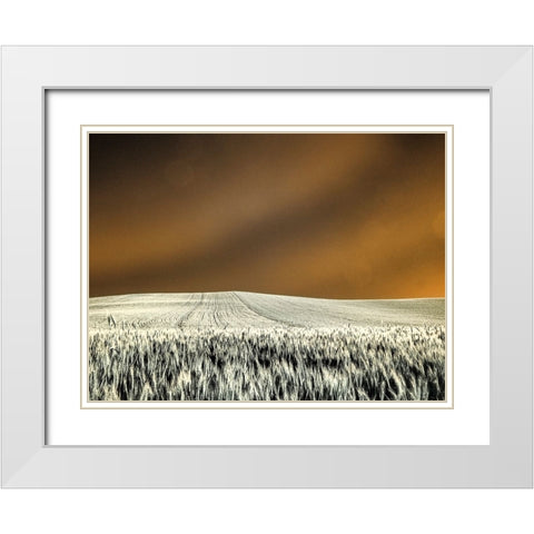 USA-Washington State-Palouse region-Rolling Hills of wheat White Modern Wood Framed Art Print with Double Matting by Eggers, Terry